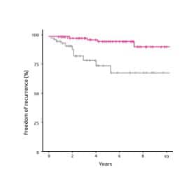 Predictive Potential of Lymphocyte Spatial Signatures In Breast Cancer