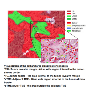 Predicting response to pembrolizumab in Non-Small-Cell Lung Cancer Using Spatial Analysis of Biopsy Images by Deep Learning 
