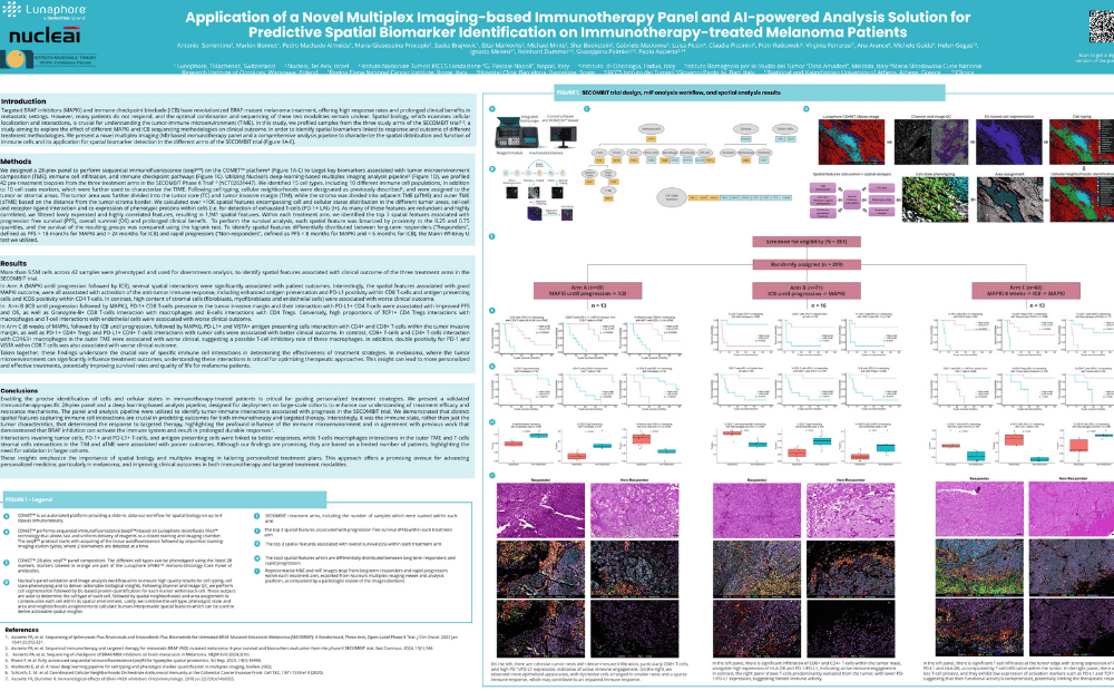 Spatial biomarkers for immunotherapy-treated melanoma