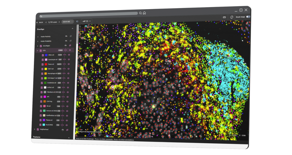 Cell type classification